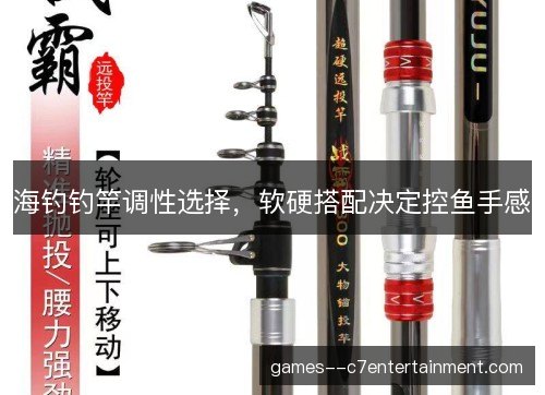 海钓钓竿调性选择，软硬搭配决定控鱼手感